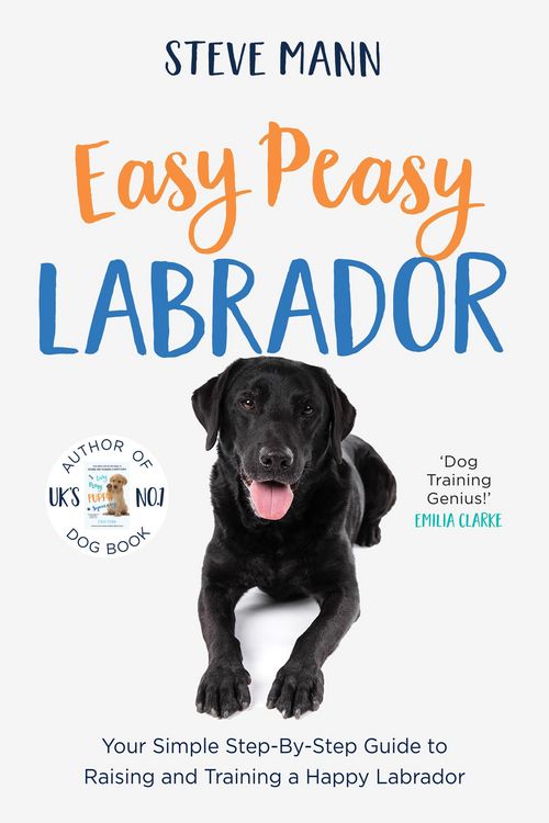 Produktbild: Easy Peasy Labrador