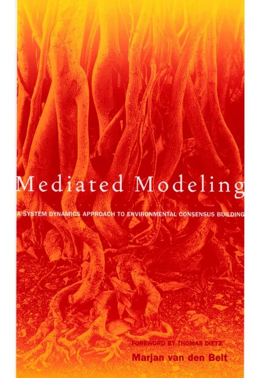 Produktbild: Mediated Modeling