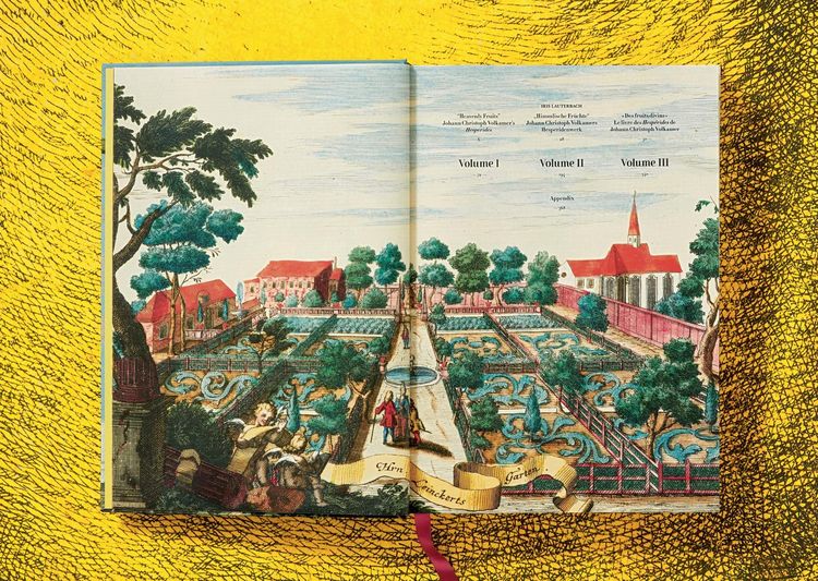 Produktbild: J.C. Volkamer