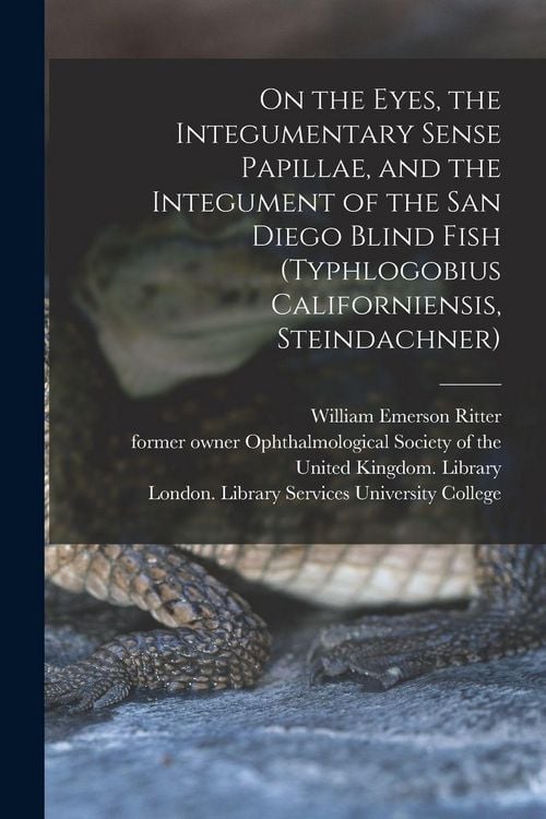Produktbild: On the Eyes, the Integumentary Sense Papillae, and the Integument of the San Diego Blind Fish (Typhlogobius Californiensis, Steindachner) [electronic