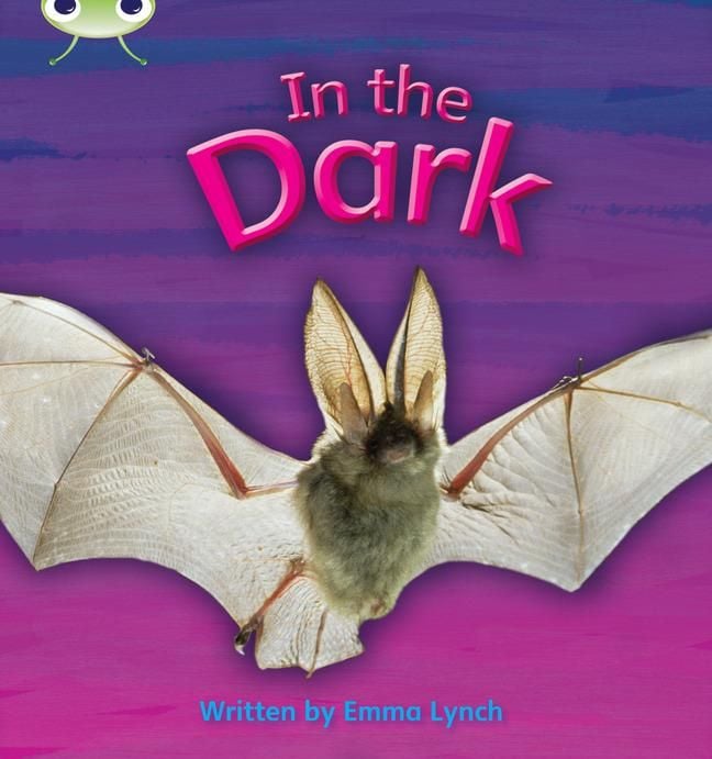 Produktbild: Bug Club Phonics - Phase 3 Unit 10: In the Dark