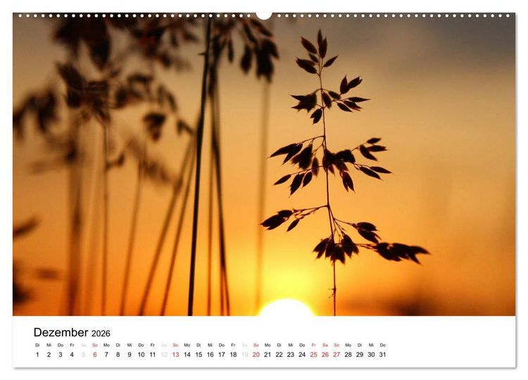 Produktbild: Zarte Natur 2026 (Wandkalender 2026 DIN A2 quer), CALVENDO Monatskalender