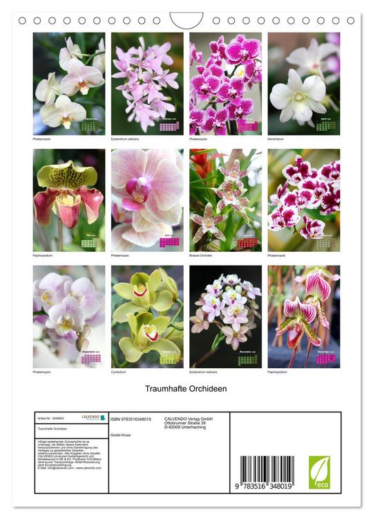 Produktbild: Traumhafte Orchideen (Wandkalender 2026 DIN A4 hoch), CALVENDO Monatskalender