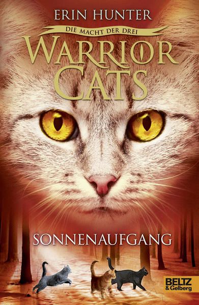 Produktbild: Sonnenaufgang / Warrior Cats 3 Bd.6