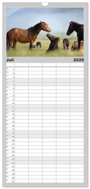 Produktbild: Familienplaner 2026 - Islandpferde Kalender - Pferde von der Insel aus Feuer und Eis mit 5 Spalten (Wandkalender, 21 x 45 cm) CALVENDO