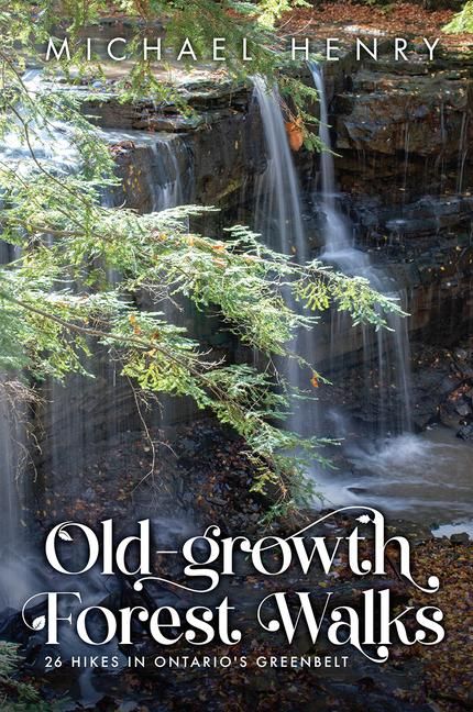 Produktbild: Old-Growth Forest Walks