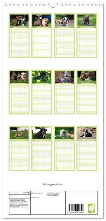 Produktbild: Familienplaner 2026 - Bulldoggen-Kinder mit 5 Spalten (Wandkalender, 21 x 45 cm) CALVENDO
