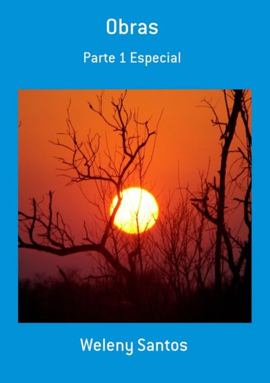 Produktbild: Obras