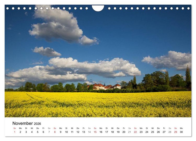 Produktbild: Rapsodie (Wandkalender 2026 DIN A4 quer), CALVENDO Monatskalender
