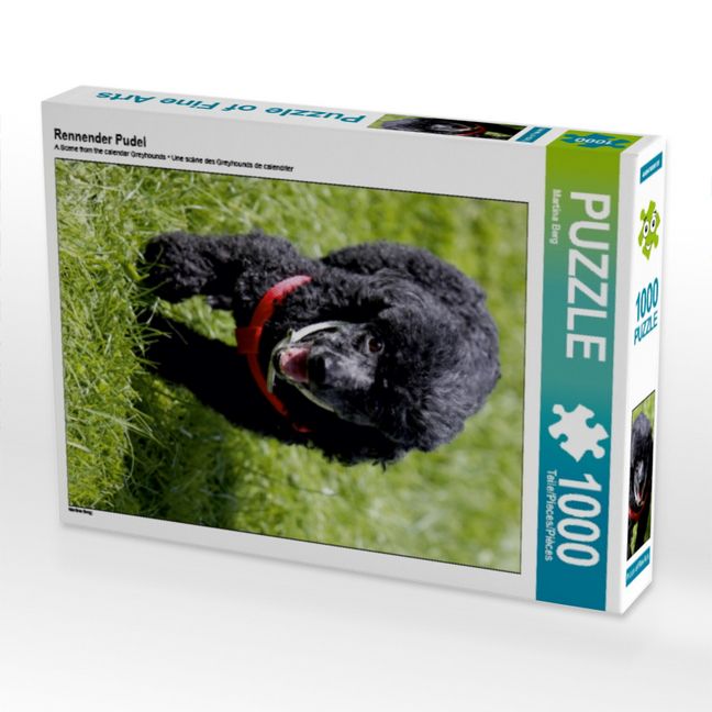 Produktbild: CALVENDO Puzzle Rennender Pudel | 1000 Teile Lege-Gr&ouml;&szlig;e 64x48cm Foto-Puzzle f&uuml;r gl&uuml;ckliche Stunden