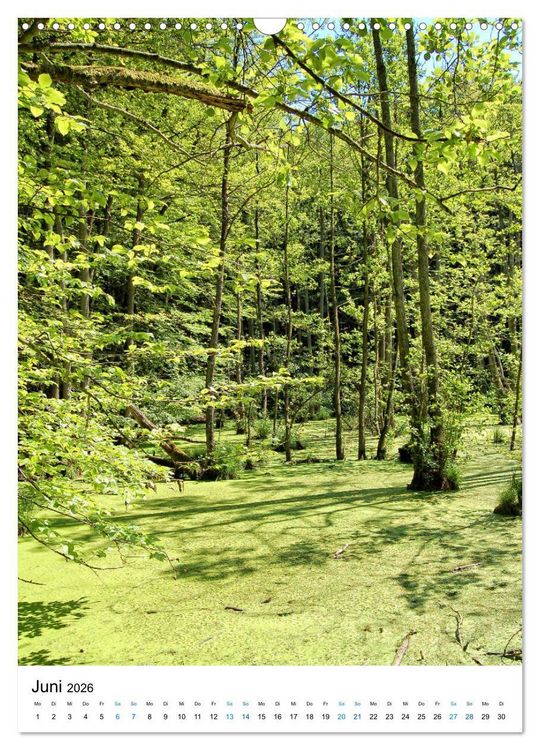Produktbild: Insel R&uuml;gen - Kreide, Landschaft, Leuchtt&uuml;rme (Wandkalender 2026 DIN A3 hoch), CALVENDO Monatskalender