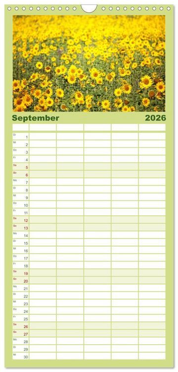 Produktbild: Familienplaner 2026 - 12 Farben Kunst und K&uuml;che mit 5 Spalten (Wandkalender, 21 x 45 cm) CALVENDO