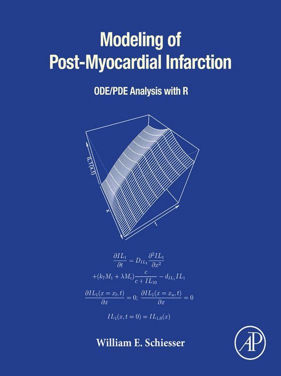 Produktbild: Modeling of Post-Myocardial Infarction