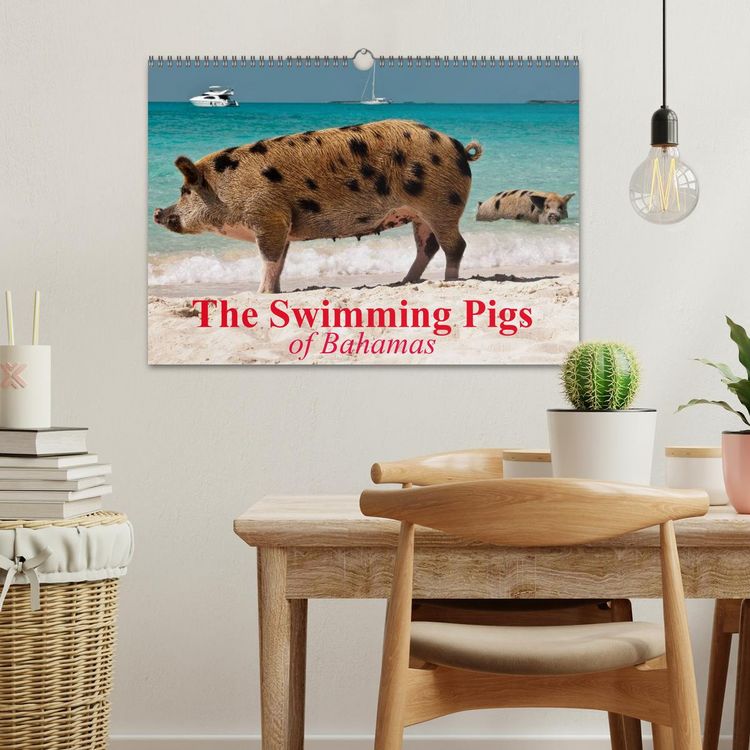 Produktbild: The Swimming Pigs of Bahamas (Wall Calendar 2026 DIN A3 landscape), CALVENDO 12 Month Wall Calendar