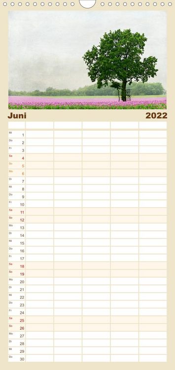 Produktbild: Familienplaner Mohnsch&ouml;nheiten (Wandkalender 2022 , 21 cm x 45 cm, hoch)