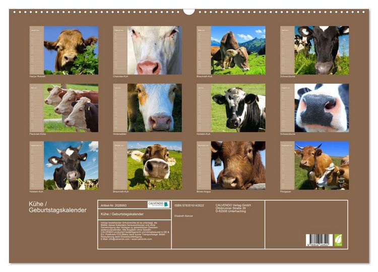 Produktbild: K&uuml;he / Geburtstagskalender (Wandkalender 2026 DIN A2 quer), CALVENDO Monatskalender