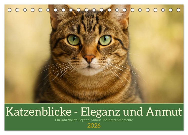 Produktbild: Katzenblicke &ndash; Eleganz und Anmut (Tischkalender 2026 DIN A5 quer), CALVENDO Monatskalender