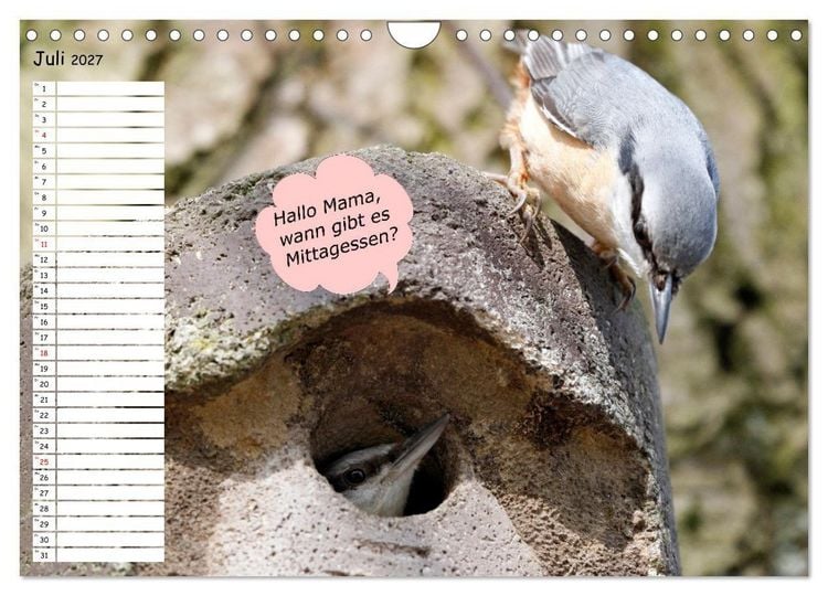 Produktbild: Wenn Tiere Sprechen k&ouml;nnten! Der lustige Spr&uuml;che Geburtstagskalender (Wandkalender 2027 DIN A4 quer), CALVENDO Monatskalender