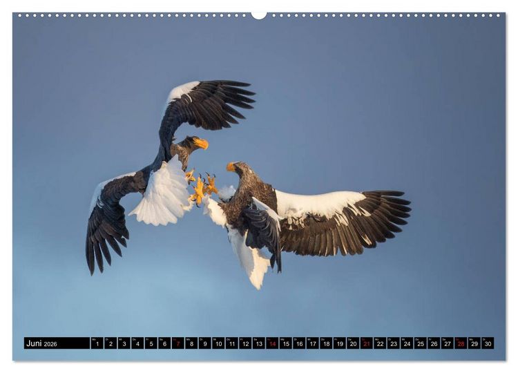 Produktbild: Japanische Vogelwelt im Winter (Wandkalender 2026 DIN A2 quer), CALVENDO Monatskalender
