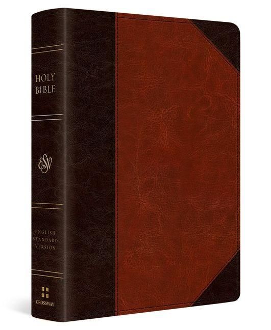 Produktbild: ESV Reader's Bible