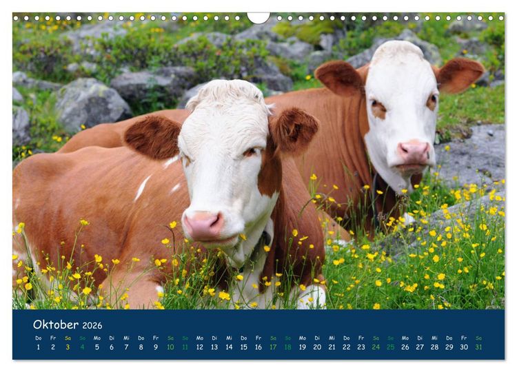 Produktbild: Bergwelt Hohe Tauern - Wandergenuss in alpiner Landschaft (Wandkalender 2026 DIN A3 quer), CALVENDO Monatskalender