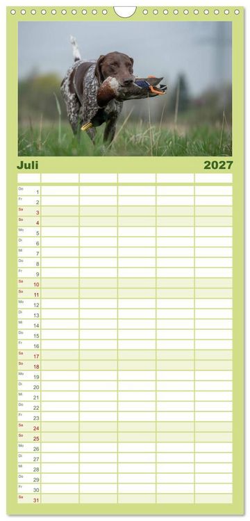 Produktbild: Familienplaner 2027 - Jagdhunde bei der Arbeit mit 5 Spalten (Wandkalender, 21 x 45 cm) CALVENDO