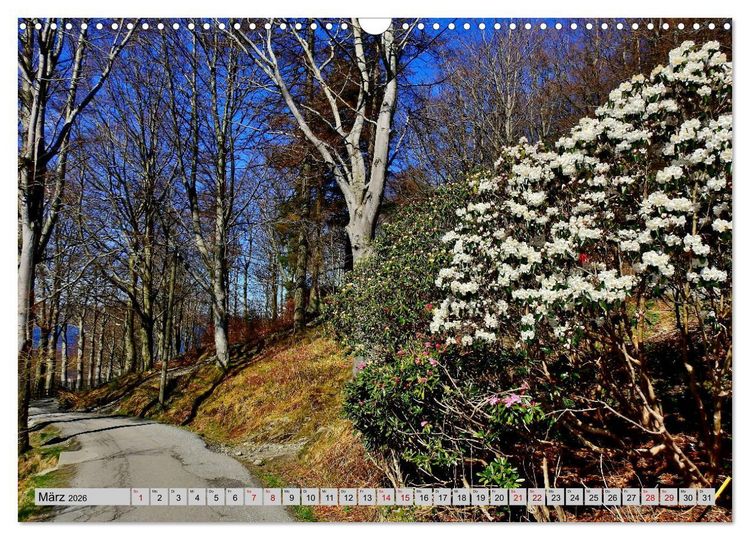 Produktbild: Wundersch&ouml;nes Bergen. Norwegens Tor zum Fjordland (Wandkalender 2026 DIN A3 quer), CALVENDO Monatskalender