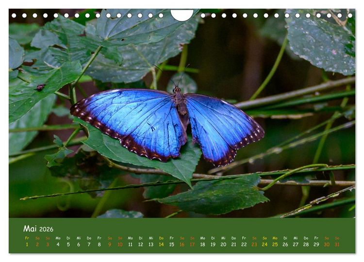 Produktbild: Costa Rica - Naturparadies zwischen Karibik und Pazifik (Wandkalender 2026 DIN A4 quer), CALVENDO Monatskalender