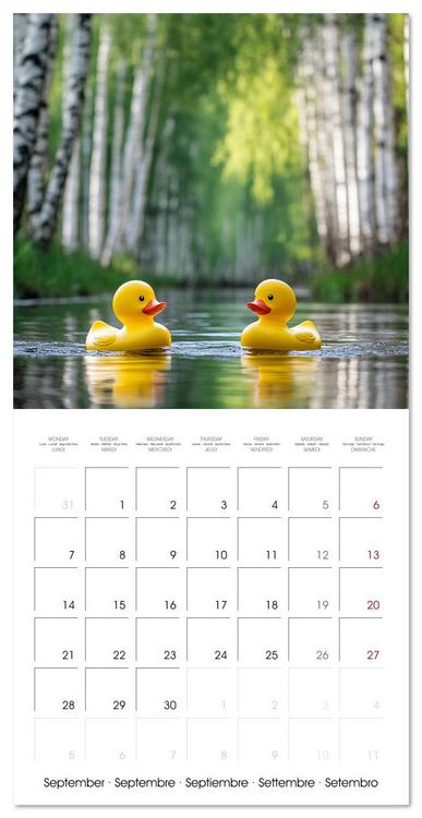 Produktbild: Yellow Travelers (Wall Calendar 2026 12 &times; 12 Inch) CALVENDO 12 Month Wall Calendar