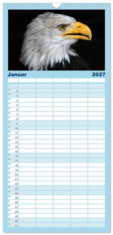 Produktbild: Familienplaner 2027 - Greifv&ouml;gel, Eulen und K&auml;uze mit 5 Spalten (Wandkalender, 21 x 45 cm) CALVENDO