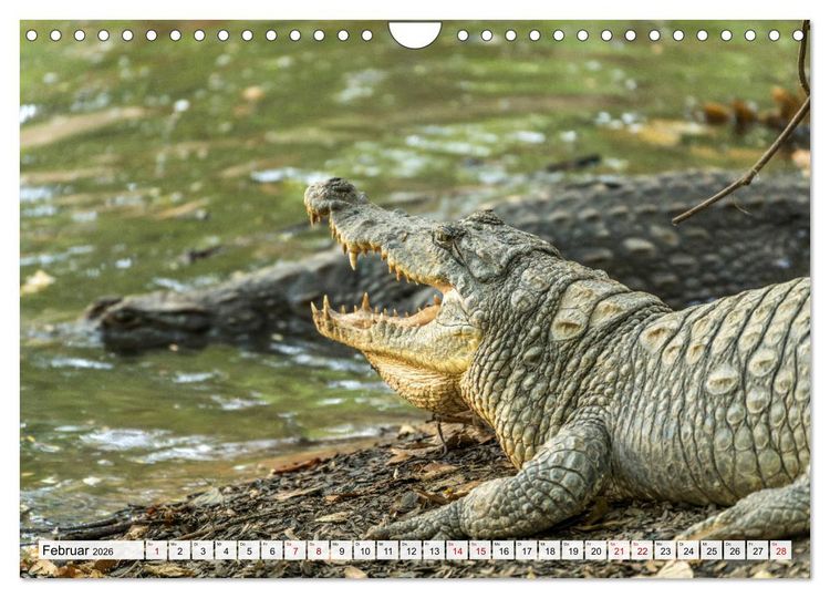 Produktbild: Westafrika - The Gambia (Wandkalender 2026 DIN A4 quer), CALVENDO Monatskalender
