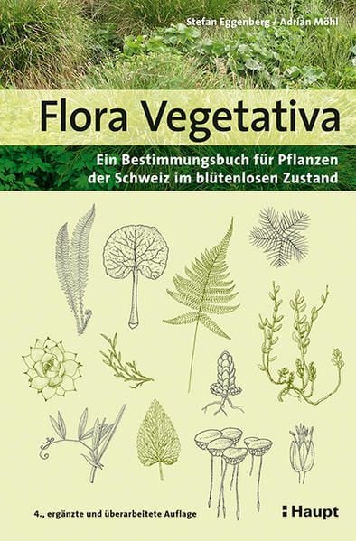 Produktbild: Flora Vegetativa