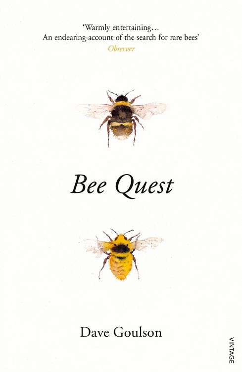 Produktbild: Bee Quest