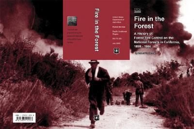 Produktbild: Fire in the Forest