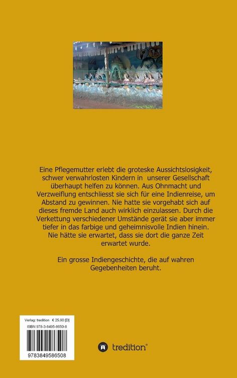 Produktbild: Der Guru