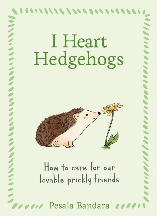 Produktbild: I Heart Hedgehogs