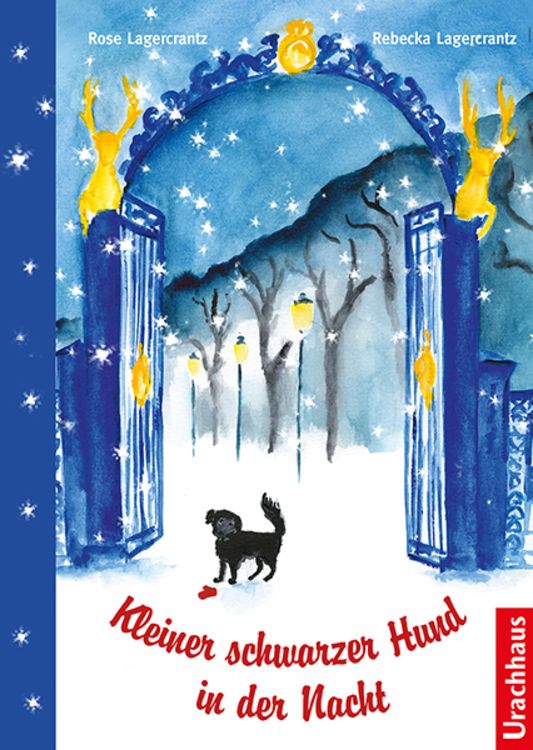 Produktbild: Kleiner schwarzer Hund in der Nacht