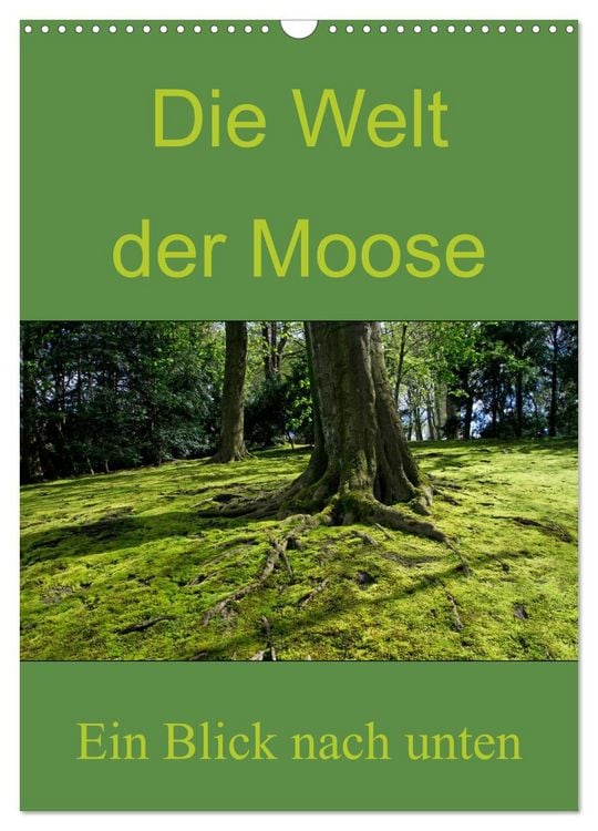 Produktbild: Die Welt der Moose. Ein Blick nach unten (Wandkalender 2026 DIN A3 hoch), CALVENDO Monatskalender