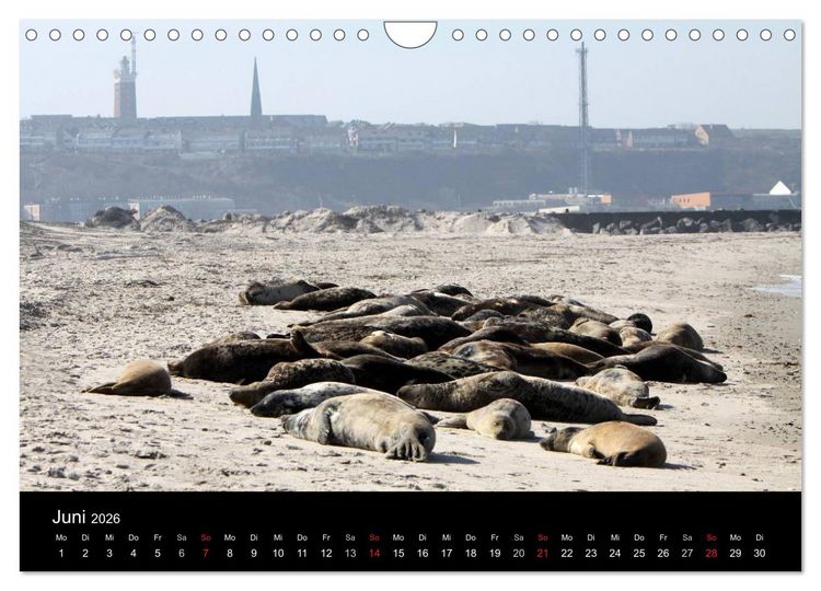 Produktbild: Helgoland (Wandkalender 2026 DIN A4 quer), CALVENDO Monatskalender