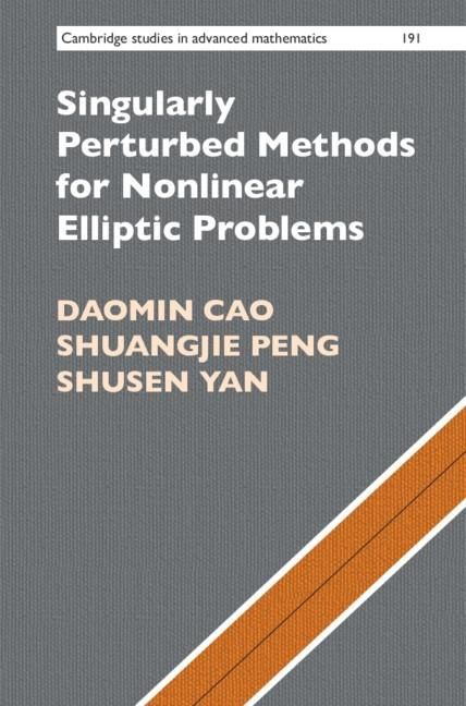 Produktbild: Singularly Perturbed Methods for Nonlinear Elliptic Problems