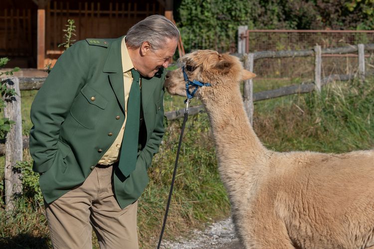 Produktbild: 2Hubert ohne Staller - Staffel 12 [2 BRs]