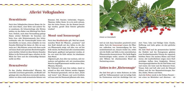 Produktbild: Rezepte aus meiner Hexenk&uuml;che