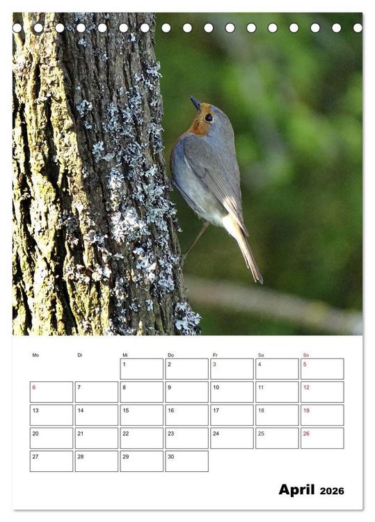 Produktbild: Amsel, Drossel, Fink und Star - beobachtet (Tischkalender 2026 DIN A5 hoch), CALVENDO Monatskalender