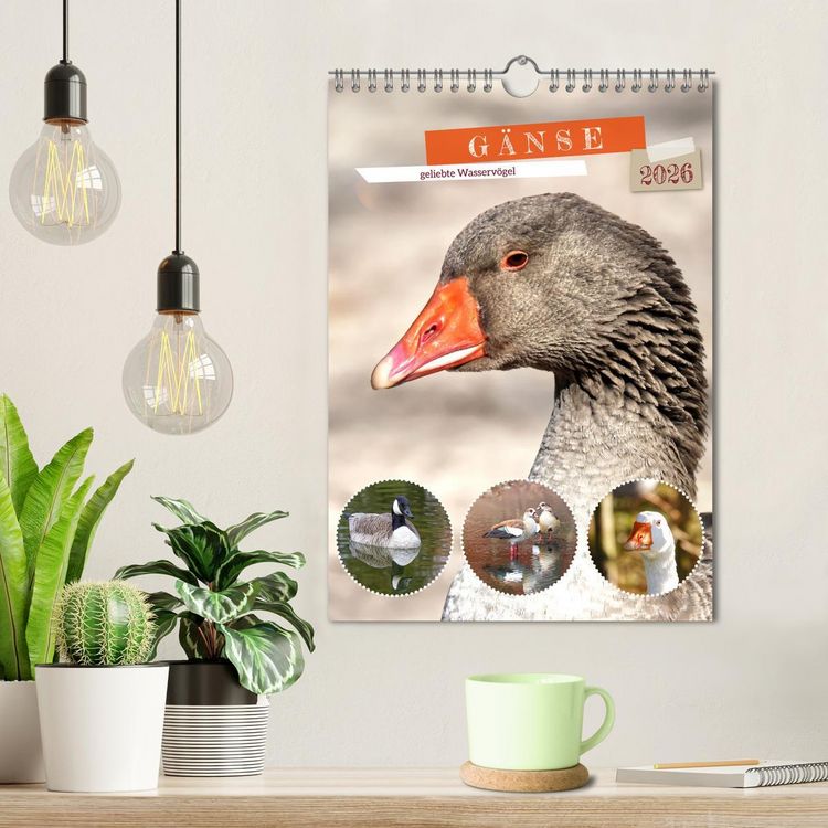 Produktbild: G&auml;nse, geliebte Wasserv&ouml;gel (Wandkalender 2026 DIN A4 hoch), CALVENDO Monatskalender