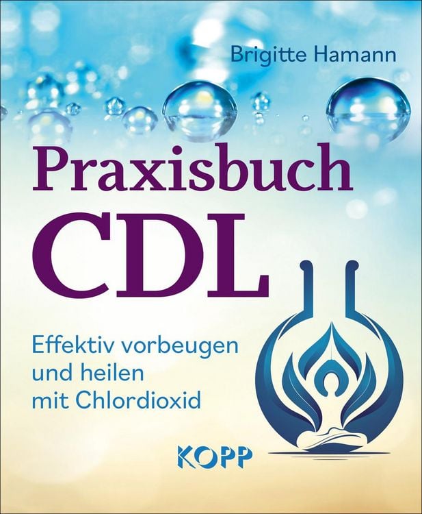 Produktbild: Praxisbuch CDL