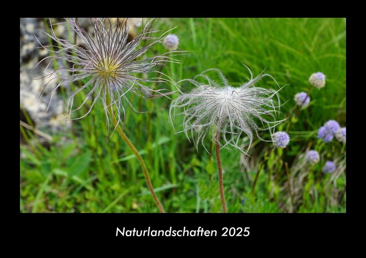 Produktbild: Naturlandschaften 2025 Fotokalender DIN A3