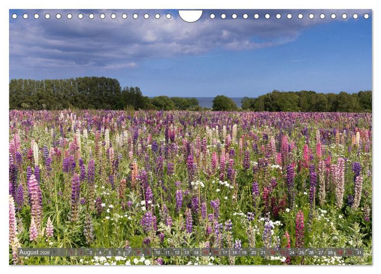 Produktbild: Bornholm Juwel der Ostsee (Wandkalender 2026 DIN A4 quer), CALVENDO Monatskalender