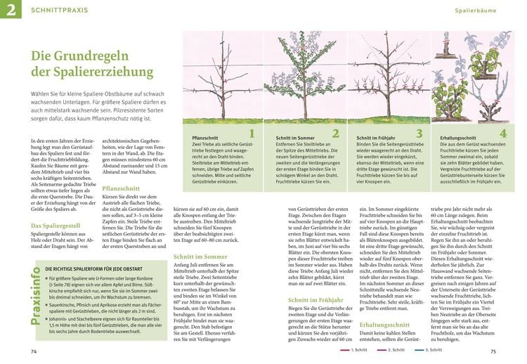 Produktbild: Obstgeh&ouml;lze schneiden