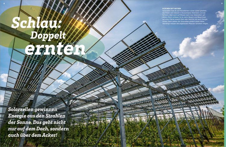 Produktbild: WAS IST WAS Gr&uuml;ne Energie. Power f&uuml;r die Zukunft
