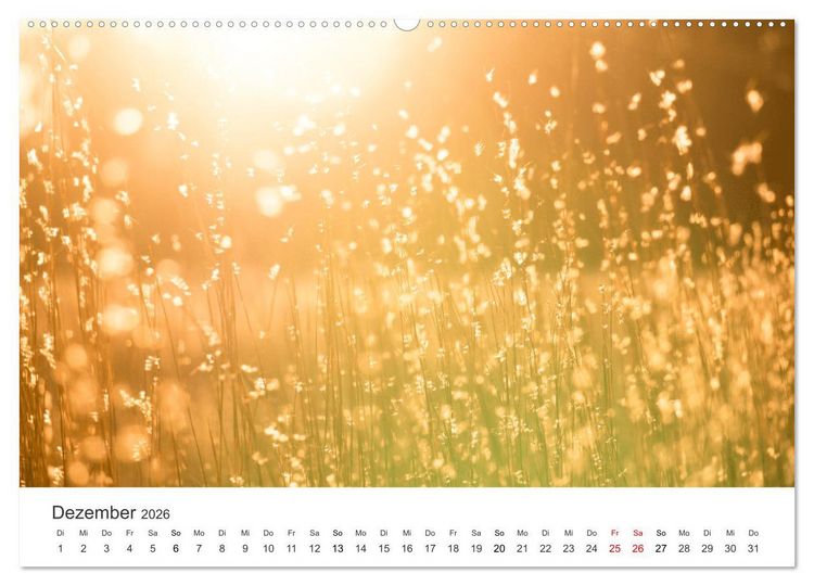 Produktbild: Lichtmomente - Fotografien, die in einem besonderen Licht erstrahlen. (hochwertiger Premium Wandkalender 2026 DIN A2 quer), Kunstdruck in Hochglanz
